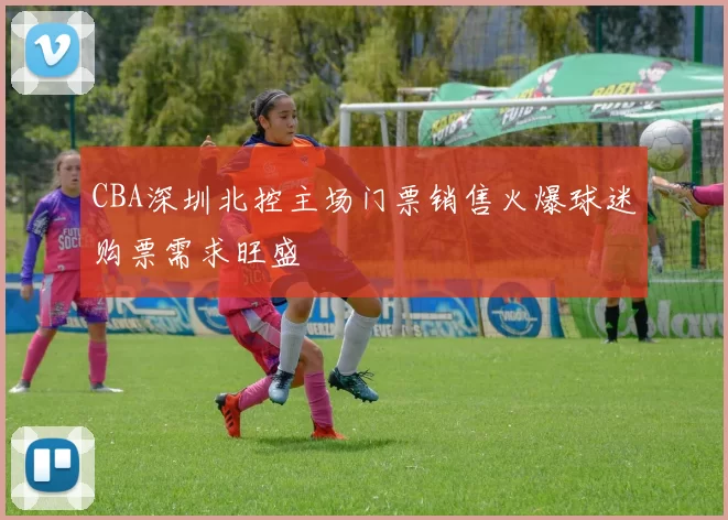 CBA深圳北控主场门票销售火爆球迷购票需求旺盛