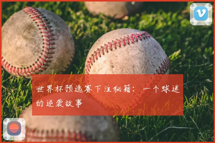 世界杯预选赛下注秘籍：一个球迷的逆袭故事