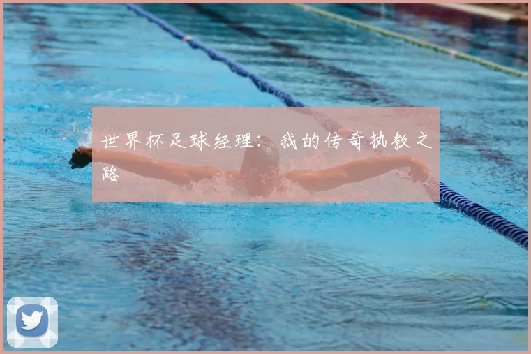 世界杯足球经理：我的传奇执教之路