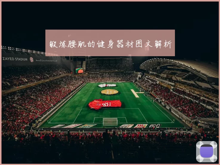 锻炼腰肌的健身器材图文解析