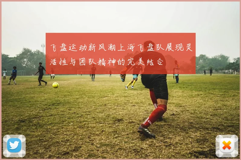 飞盘运动新风潮上海飞盘队展现灵活性与团队精神的完美结合