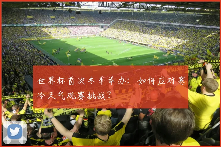 世界杯首次冬季举办：如何应对寒冷天气观赛挑战？