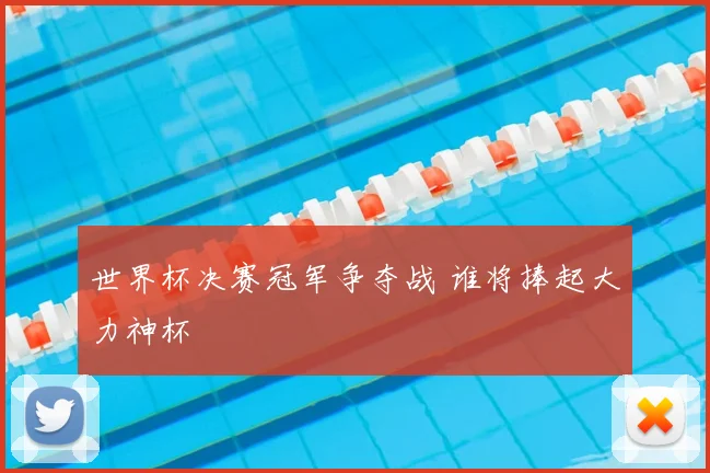 世界杯决赛冠军争夺战 谁将捧起大力神杯