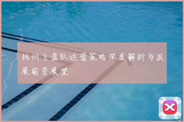 杭州飞盘队运营策略深度解析与发展前景展望