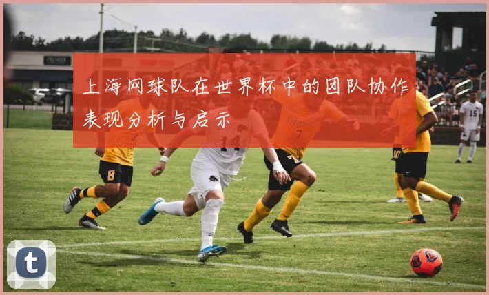 上海网球队在世界杯中的团队协作表现分析与启示
