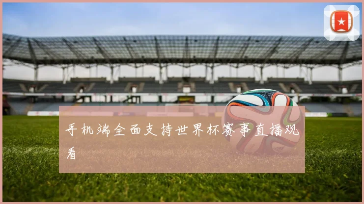 手机端全面支持世界杯赛事直播观看