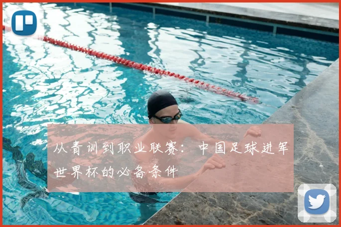 从青训到职业联赛：中国足球进军世界杯的必备条件