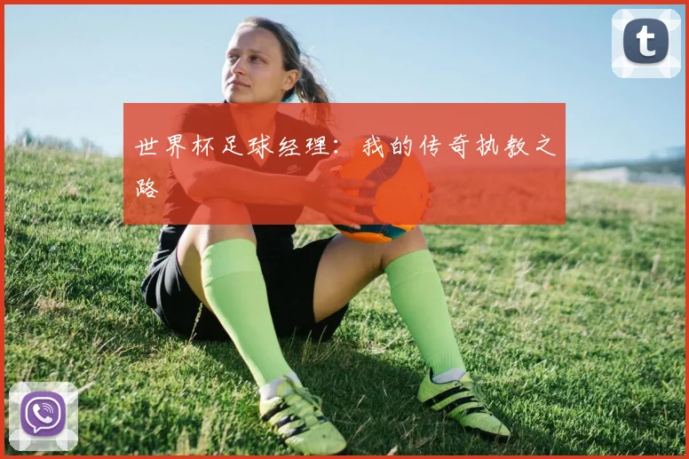 世界杯足球经理：我的传奇执教之路