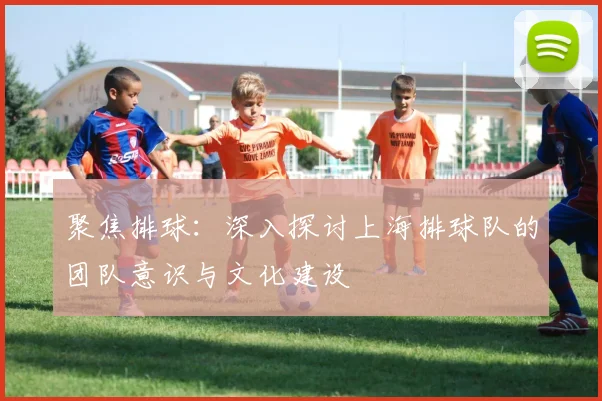 聚焦排球：深入探讨上海排球队的团队意识与文化建设