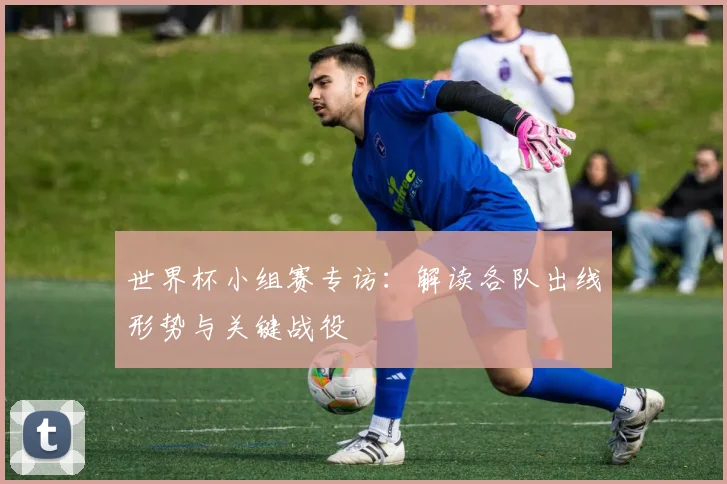 世界杯小组赛专访：解读各队出线形势与关键战役