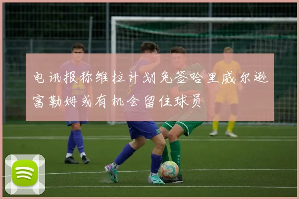 电讯报称维拉计划免签哈里威尔逊富勒姆或有机会留住球员