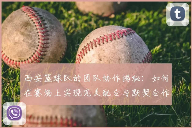 西安篮球队的团队协作揭秘：如何在赛场上实现完美配合与默契合作