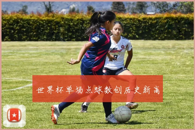 世界杯单场点球数创历史新高