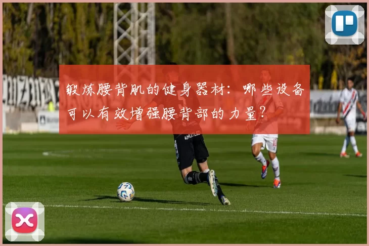 锻炼腰背肌的健身器材：哪些设备可以有效增强腰背部的力量？